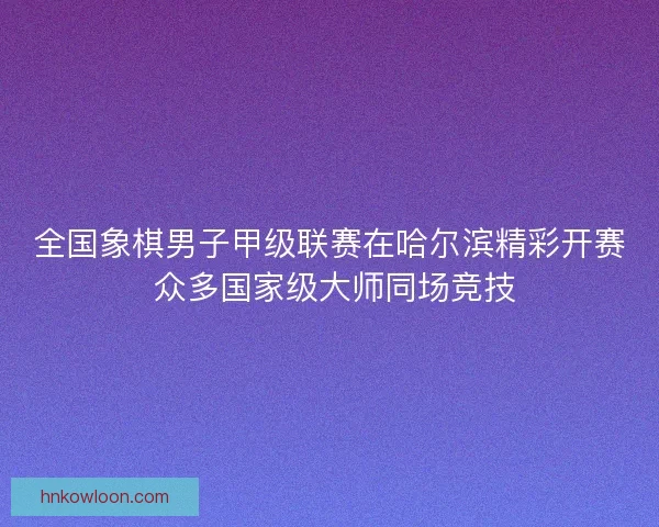 全国象棋男子甲级联赛在哈尔滨精彩开赛 众多国家级大师同场竞技 全国象棋男子甲级联赛在哈尔滨精彩开赛 众多国家级大师同场竞技